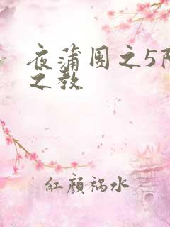 夜蒲团之5阳性之教