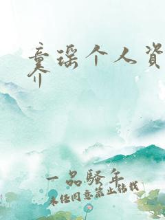 童瑶个人资料简介