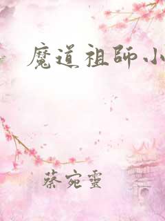魔道祖师小说