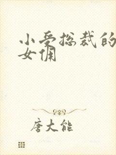 小受总裁的野蛮女佣