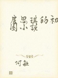 房思琪的初恋乐园小说