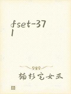 fset-371