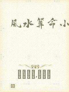 风水算命小说