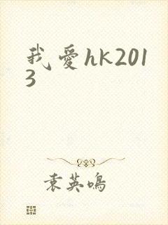我爱hk2013