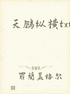 天鹏纵横txt