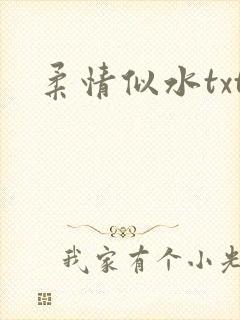 柔情似水txt