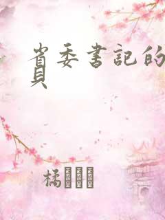 省委书记的小宝贝