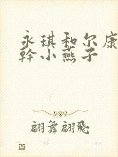 永琪和尔康一起干小燕子