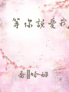 等你说爱我小说
