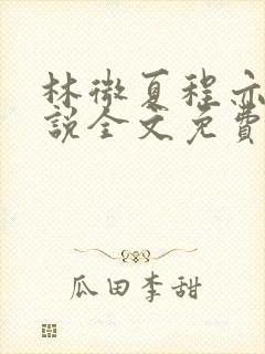 林微夏程亦风小说全文免费