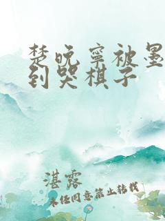 楚晚宁被墨燃做到哭棋子