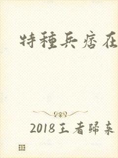 特种兵痞在都市