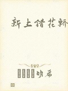 新上错花轿