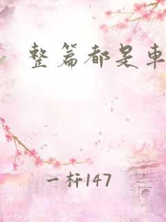 整篇都是车的肉