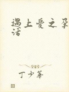 遇上爱之孕夫生活