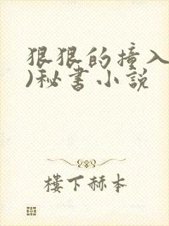 狠狠的撞入(h)秘书小说