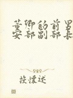 董卿的前男友公安部副部长