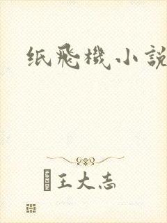 纸飞机小说