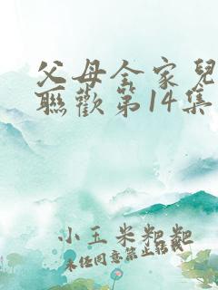 父母全家儿女大联欢第14集