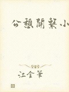 公憩关系小说