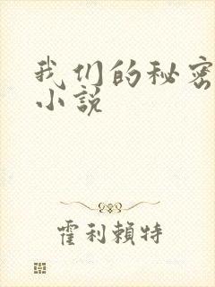 我们的秘密泰剧小说