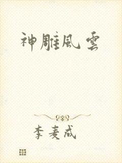 神雕风云