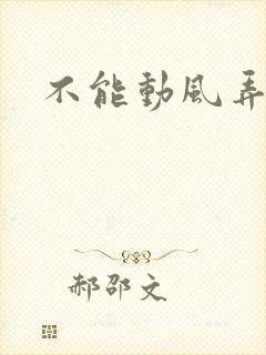 不能动风弄