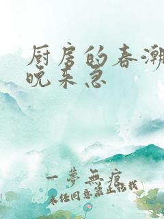 厨房的春潮带雨晚来急