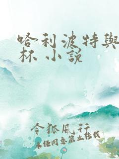 哈利波特与火焰杯 小说