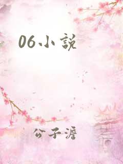 06小说