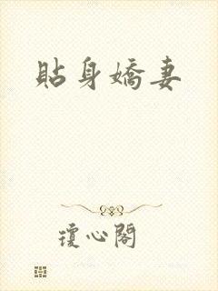 贴身娇妻