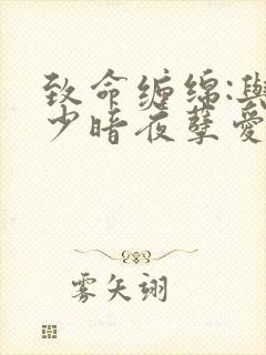 致命缠绵:与冷少暗夜孽爱