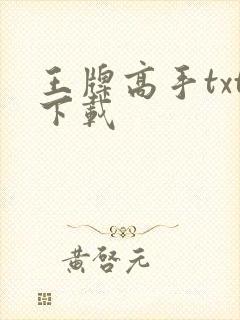 王牌高手txt下载