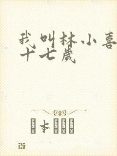 我叫林小喜今年十七岁