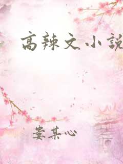 高辣文小说