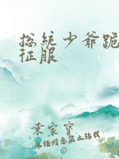 总统少爷跪地唱征服