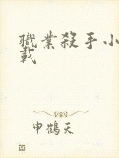 职业杀手小说下载