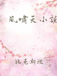 风啸天小说