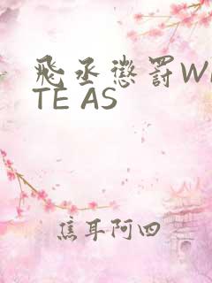 飞丞惩罚WRITE AS