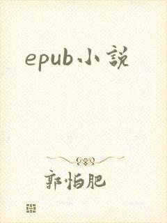epub小说