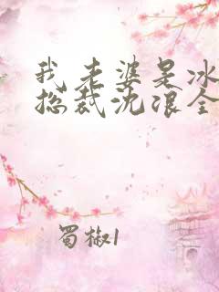 我老婆是冰山女总裁沈浪全集