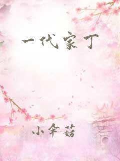 一代家丁