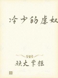 冷少的虐奴