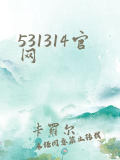 531314官网