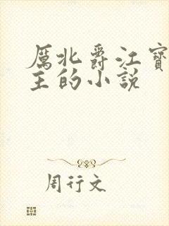 厉北爵江宝宝男主的小说