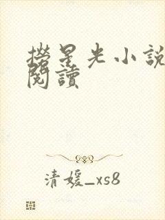 捞星光小说免费阅读