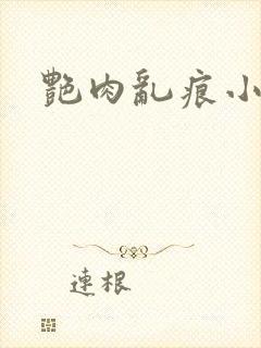 艳肉乱痕小说