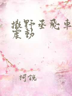 撒野丞飞车道具震动