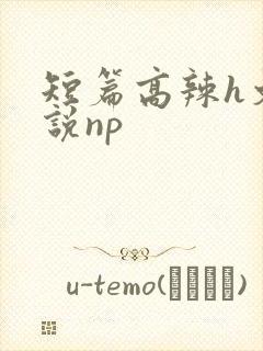 短篇高辣h文小说np