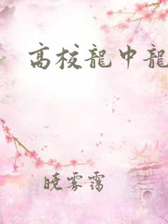 高校龙中龙下载